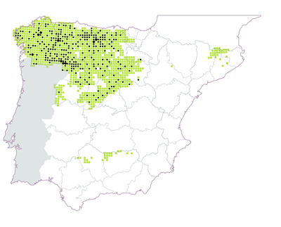 Distribución del lobo en España y manadas del censo nacional 2012-2014 (297 manadas en UTM 10x10 km). Punto grueso: 2 manadas. Cuadrículas sombreadas: área de distribución confeccionada en el marco del censo nacional realizado por las distintas comunidades autónomas, con información adicional para Cataluña y Aragón.