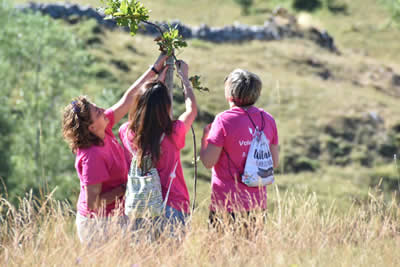 El programa de Voluntariado Ambiental oferta más de 100 actividades en la Red de Áreas Protegidas de Castilla y León