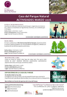 Actividades Marzo 2026