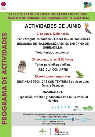 Recogida de Basuraleza