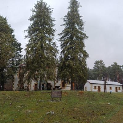 Actividades Febrero 2026