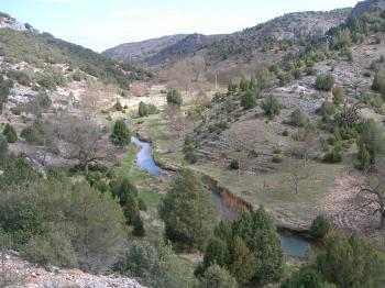 El Parque natural Sabinares del Arlanza - La  Yecla, en Burgos, se acredita con la carta europea de turismo sostenible
