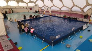 Aula del río - Cúpula del Milenio | Valladolid