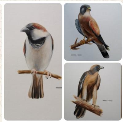 Exposición de pintura