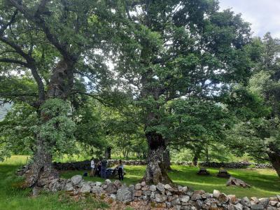 El Arroyo Murias: Biodiversidad y Usos Tradicionales