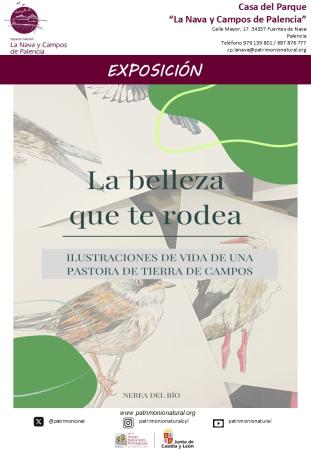 LA BELLEZA QUE TE RODEA