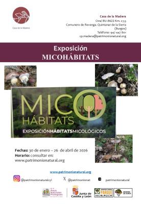 EXPOSICIÓN HÁBITATS MICOLÓGICOS