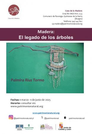 MADERA: EL LEGADO DE LOS ÁRBOLES