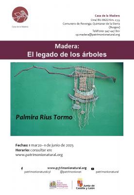 MADERA: EL LEGADO DE LOS ÁRBOLES