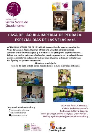 ACTIVIDAD ESPECIAL DIA DE LAS VELAS PEDRAZA