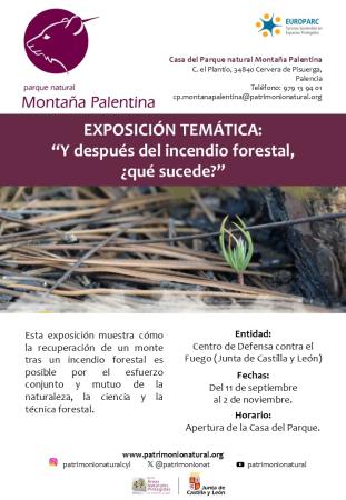 Exposición temática: 