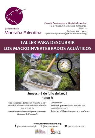 Taller de macroinvertebrados acuáticos