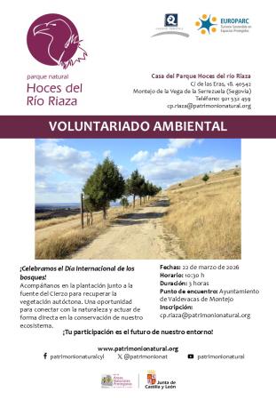 Día Internacional de los bosques ¡Vente a plantar!