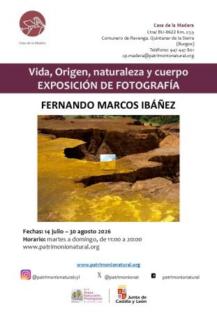 Vida, Origen, naturaleza y cuerpo