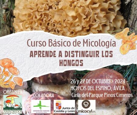 Curso básico de micología 