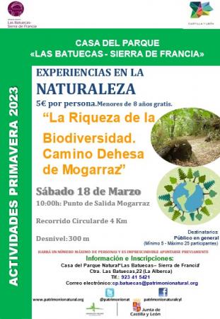 EXPERIENCIAS EN LA NATURALEZA: CAMINO DE LA DEHESA. MOGARRAZ