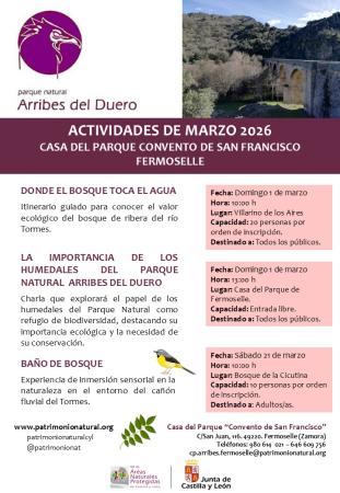 Donde el bosque toca el agua