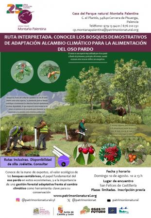 Ruta interpretada. Conocer los Bosques Demostrativos de adaptación al Cambio Climático para la alimentación del Oso Pardo