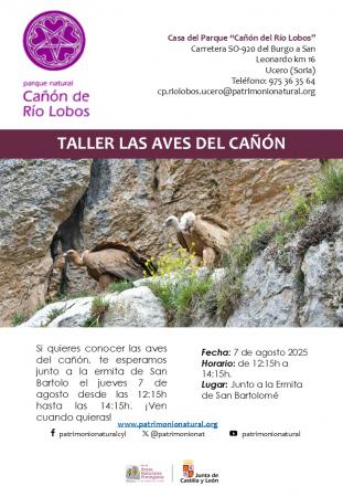 Taller Aves del Cañón