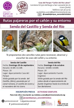 Rutas ornitológicas por el Cañón