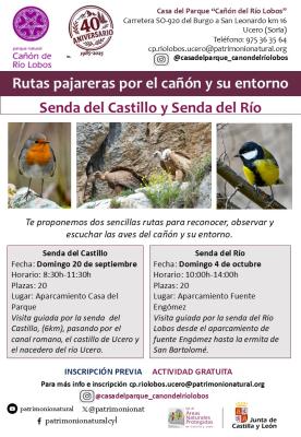 Rutas ornitológicas por el Cañón