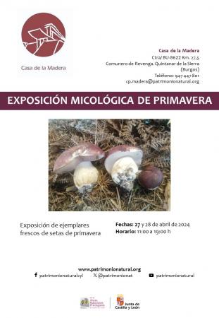 EXPOSICIÓN MICOLÓGICA CASA DE LA MADERA