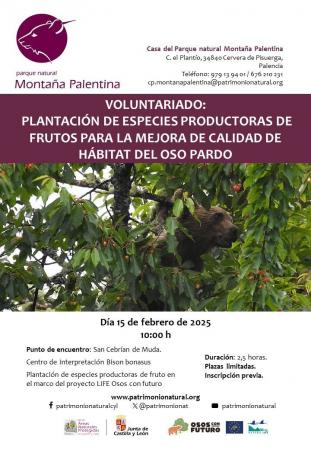Voluntariado ambiental febrero 2025