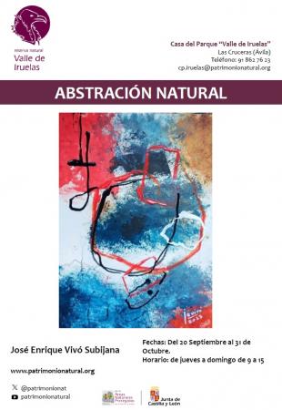 Abstraccion Natural