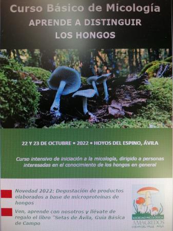 Curso básico de micología