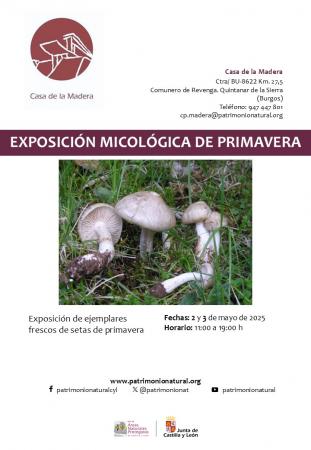 EXPOSICIÓN MICOLÓGICA DE PRIMAVERA