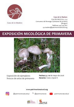 EXPOSICIÓN MICOLÓGICA DE PRIMAVERA
