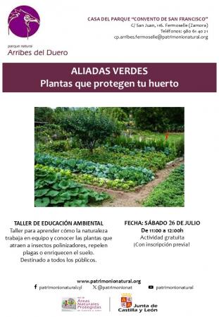 Aliadas verdes: plantas que protegen tu huerto