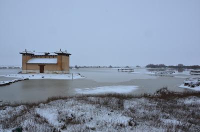 Disfruta el Carnaval en la Naturaleza...