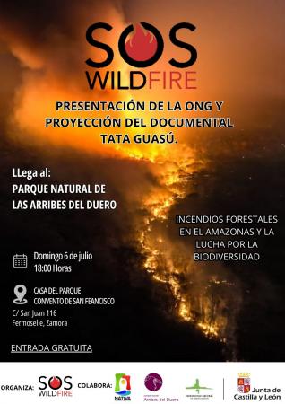 Incendios forestales en el Amazonas y la lucha por la biodiversidad