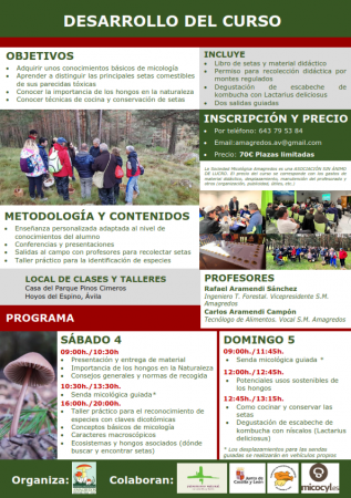 Curso básico de micología II