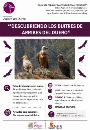 Descubriendo los buitres de Arribes