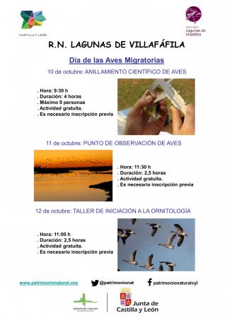 DIA DE LAS AVES MIGRATORIAS