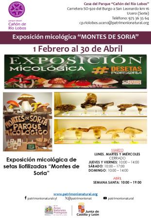 Exposición setas liofilizadas Montes de Soria