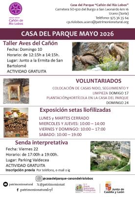 ACTIVIDADES MAYO 