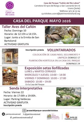 ACTIVIDADES MAYO 