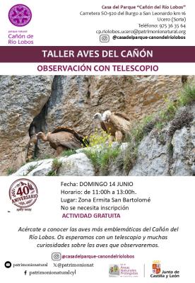 TALLER DE AVES