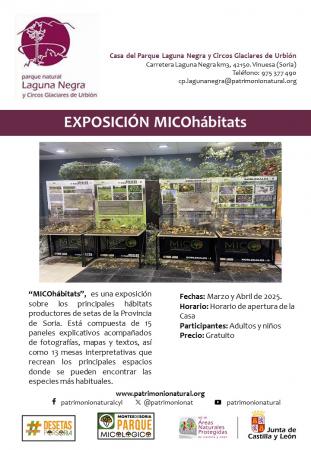 EXPOSICIÓN MICOHÁBITATS