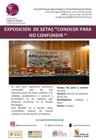 EXPOSICIÓN DE SETAS 