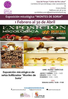 Exposición setas liofilizadas Montes de Soria