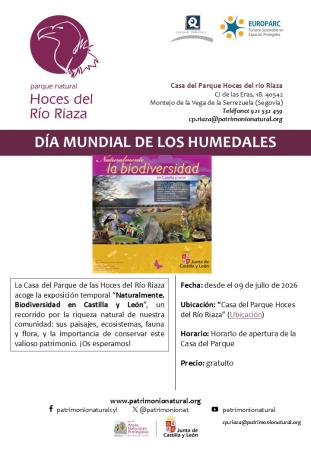 Exposición