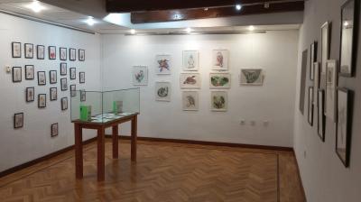 LA BELLEZA QUE TE RODEA