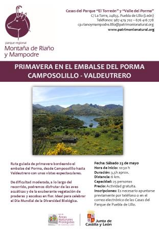 Primavera en el Embalse del Porma
