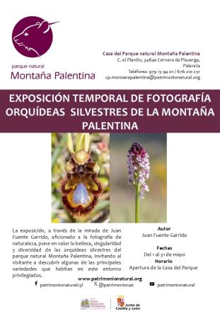 Exposición de fotografía: Orquideas silvestres de la Montaña Palentina