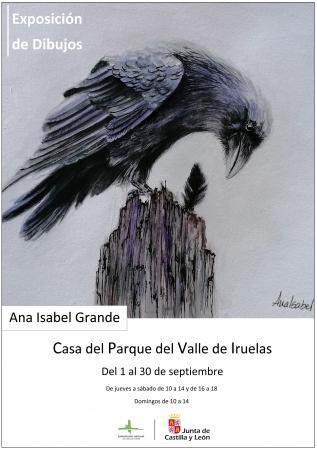 Exposicion de dibujos