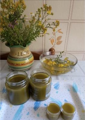 Elaboración de pasta de dientes, labial y paseo de saberes silvestres